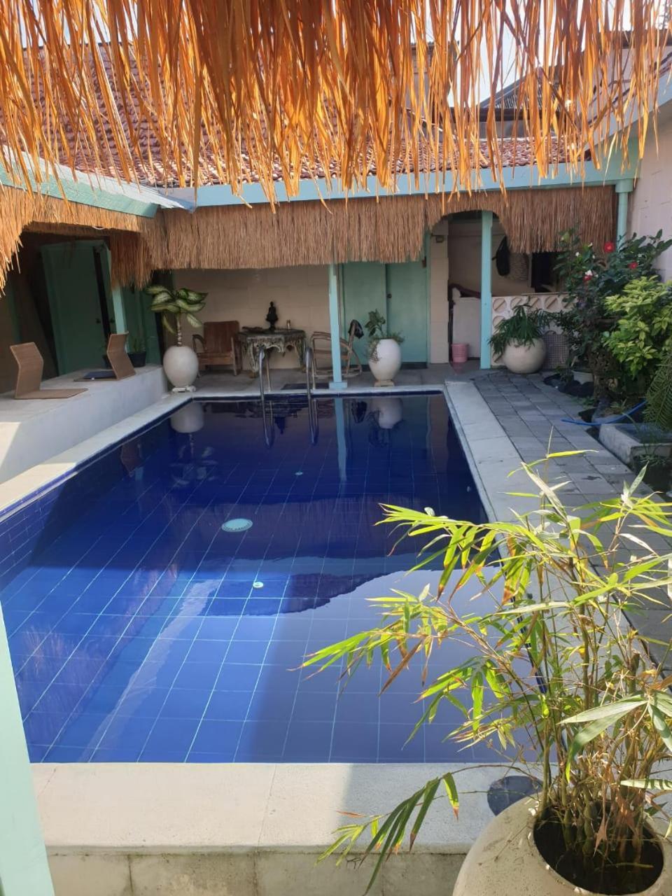 Lavender Star House Homestay *