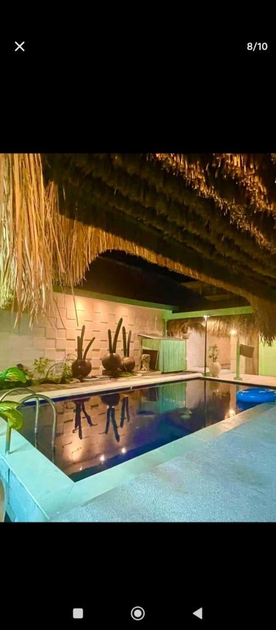 Lavender Star House Homestay